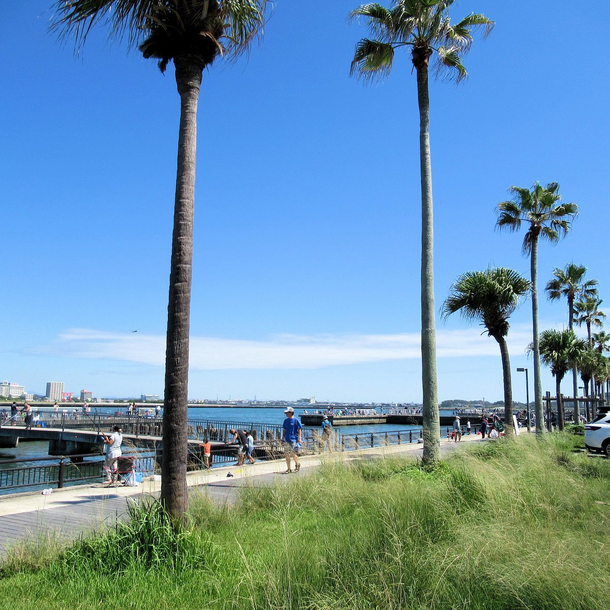 🎣 아라이 벤텐 바다낚시 공원(아라이 벤텐 우미즈리 코엔) 이미지 6